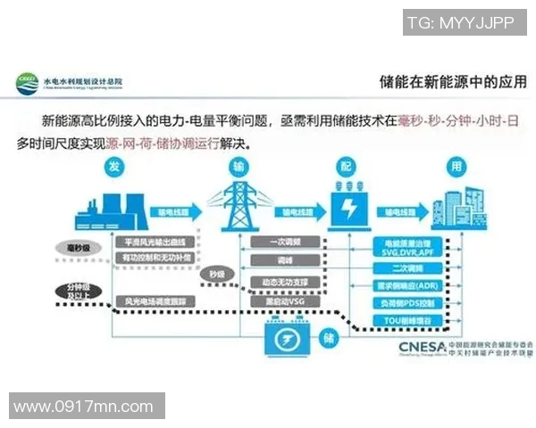 深圳排球队运营分析：成功经验与面临挑战的深度探讨